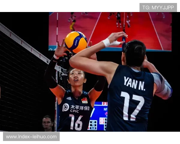 张伯霖的成长之路：从替补到关键先生的蜕变